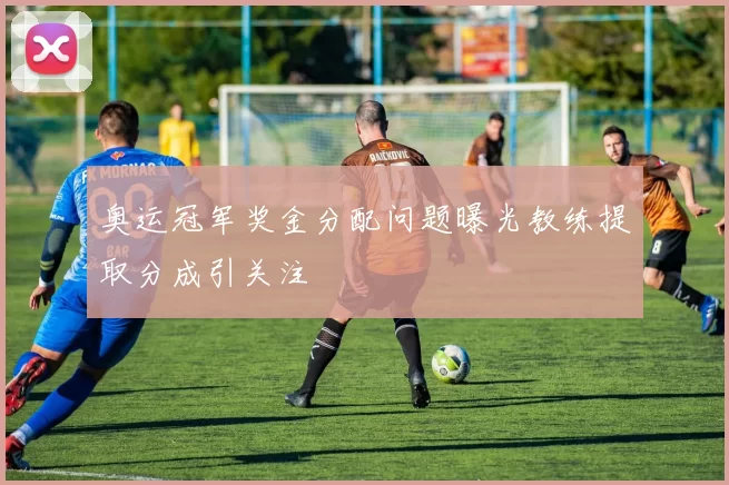 奥运冠军奖金分配问题曝光教练提取分成引关注