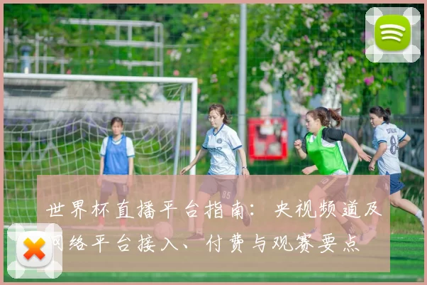 世界杯直播平台指南：央视频道及网络平台接入、付费与观赛要点