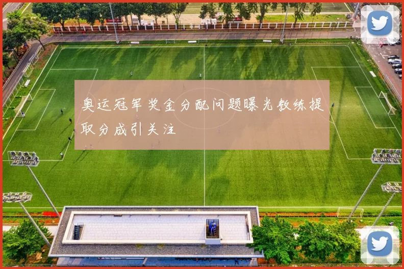 奥运冠军奖金分配问题曝光教练提取分成引关注