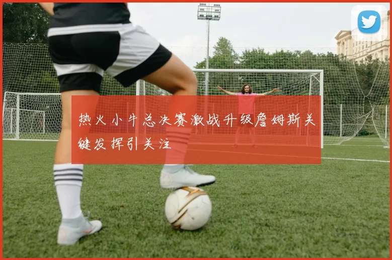 热火小牛总决赛激战升级詹姆斯关键发挥引关注