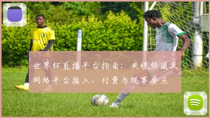 世界杯直播平台指南：央视频道及网络平台接入、付费与观赛要点
