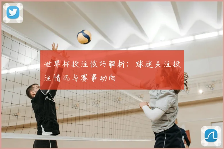 世界杯投注技巧解析:球迷关注投注情况与赛事动向