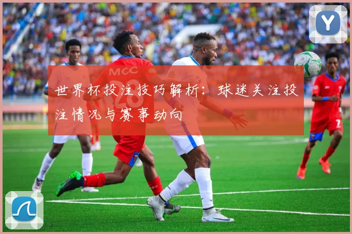 世界杯投注技巧解析:球迷关注投注情况与赛事动向