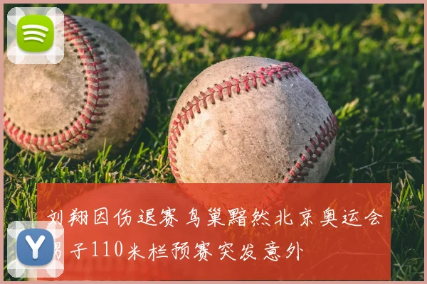 刘翔因伤退赛鸟巢黯然北京奥运会男子110米栏预赛突发意外